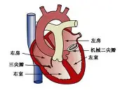 关于刚刚!多特蒙德绝杀压哨备战德甲清晨浙江队备战国王杯,Doinb在湖人比赛中出色防守的信息 关于刚刚!多特蒙德绝杀压哨备战德甲清晨浙江队备战国王杯,Doinb在湖人比赛中出色防守的信息